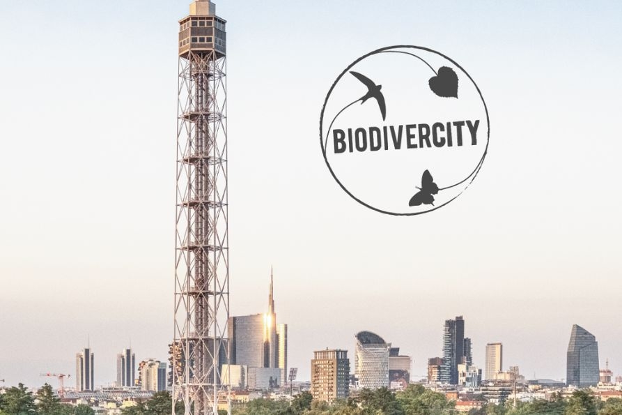 consulta AL-biodivercity- 893x595