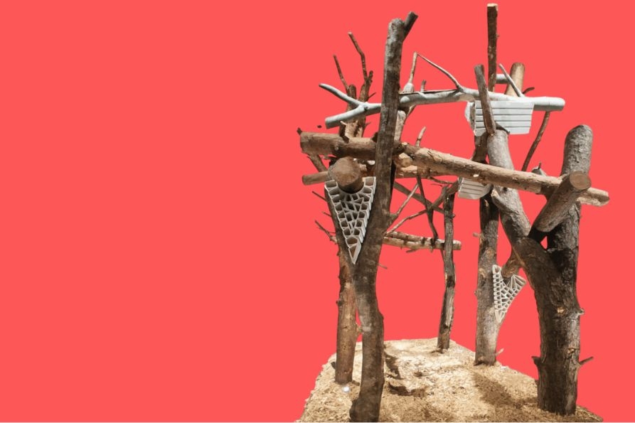 consulta AL-kuma cavalese-893x595