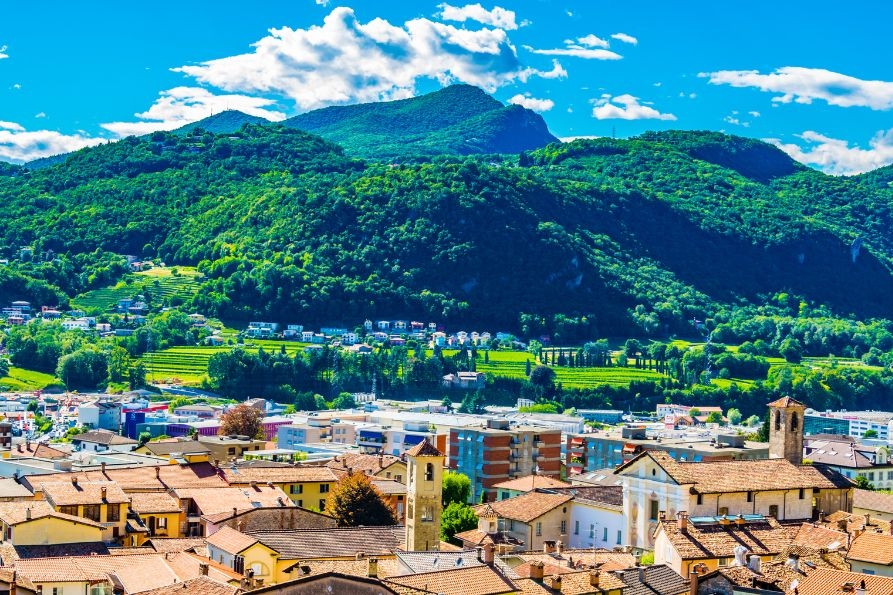 consulta AL-mendrisio-893x595