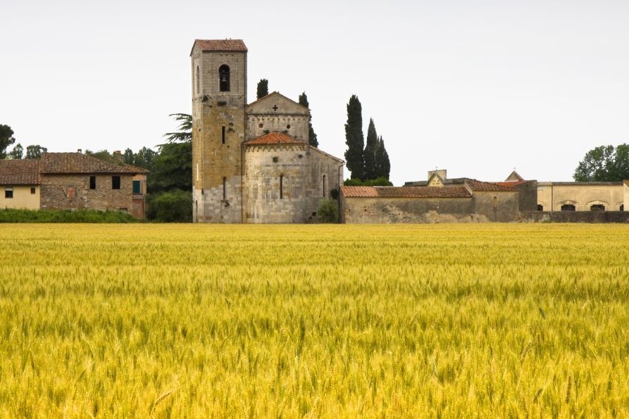 consulta AL-vie della bellezza-893x595