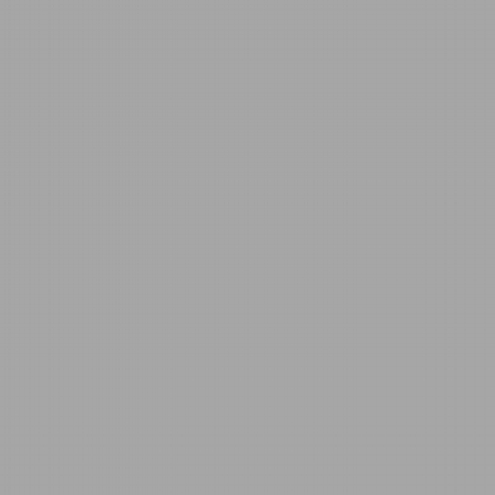 ritratti presidenti grigio